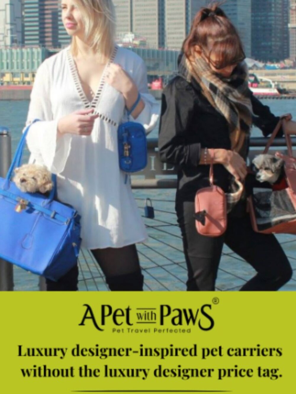 Luxury Airline-Approved Pet Carrier – Like New – Designer Handbag Style